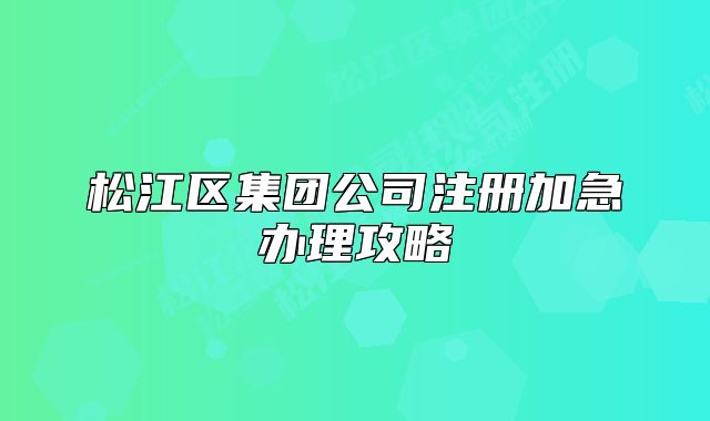 松江區(qū)集團(tuán)公司注冊加急辦理攻略