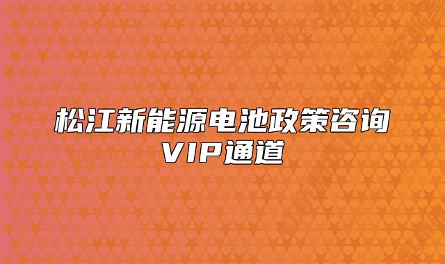 松江新能源電池政策咨詢VIP通道