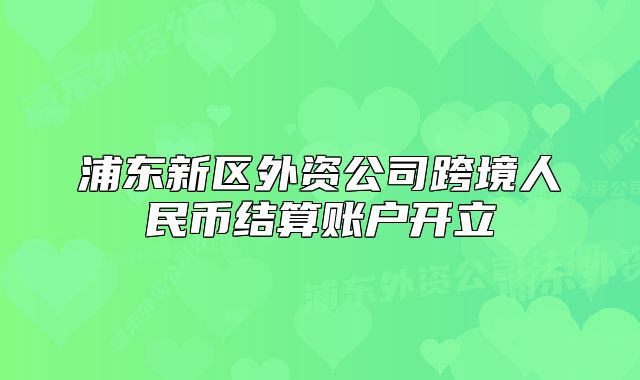 浦東新區(qū)外資公司跨境人民幣結(jié)算賬戶開立