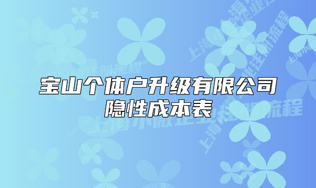 寶山個(gè)體戶升級(jí)有限公司隱性成本表