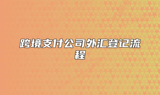 跨境支付公司外匯登記流程