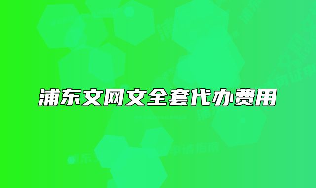 浦東文網(wǎng)文全套代辦費(fèi)用