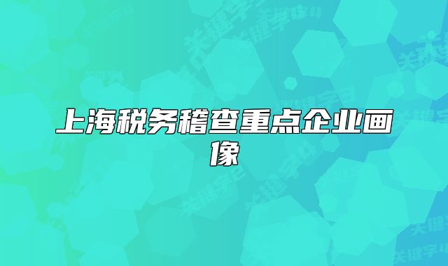 上海稅務(wù)稽查重點(diǎn)企業(yè)畫像
