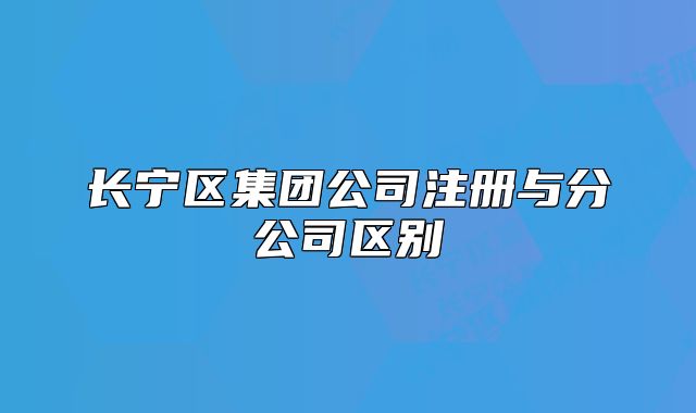 長(zhǎng)寧區(qū)集團(tuán)公司注冊(cè)與分公司區(qū)別