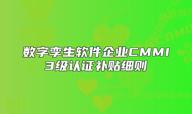 數(shù)字孿生軟件企業(yè)CMMI3級認證補貼細則