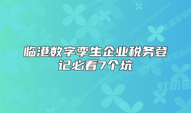 臨港數(shù)字孿生企業(yè)稅務(wù)登記必看7個(gè)坑