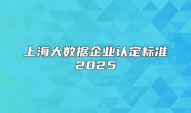 上海大數(shù)據(jù)企業(yè)認(rèn)定標(biāo)準(zhǔn)2025