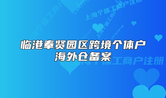 臨港奉賢園區(qū)跨境個體戶海外倉備案