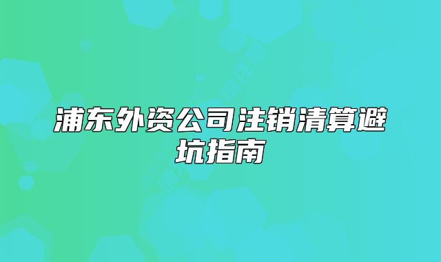 浦東外資公司注銷清算避坑指南
