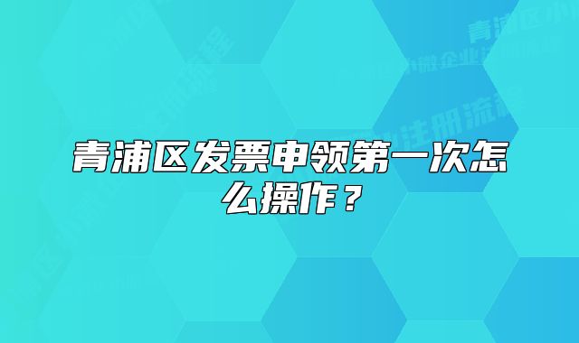 青浦區(qū)發(fā)票申領(lǐng)第一次怎么操作？
