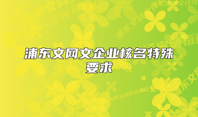 浦東文網(wǎng)文企業(yè)核名特殊要求