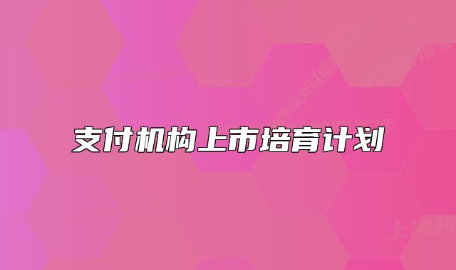 支付機構上市培育計劃