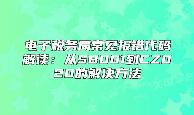 電子稅務局常見報錯代碼解讀：從SB001到CZ020的解決方法