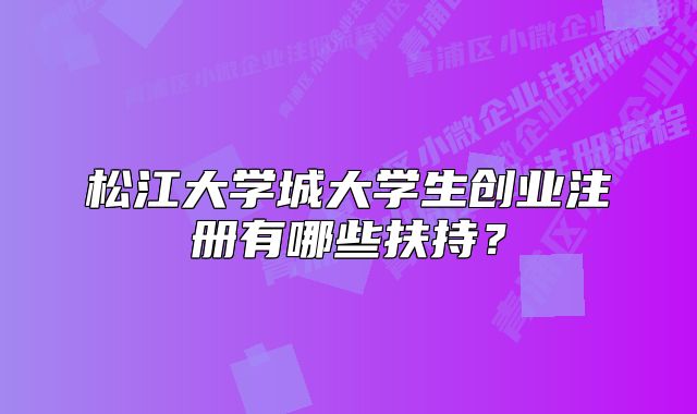 松江大學(xué)城大學(xué)生創(chuàng)業(yè)注冊(cè)有哪些扶持？