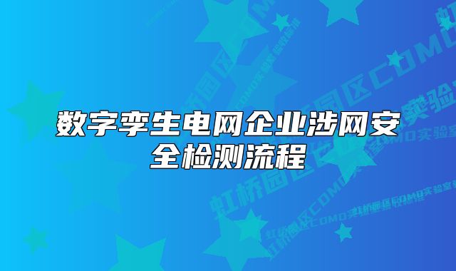 數(shù)字孿生電網(wǎng)企業(yè)涉網(wǎng)安全檢測流程