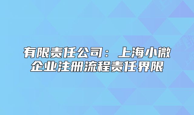 有限責(zé)任公司：上海小微企業(yè)注冊(cè)流程責(zé)任界限