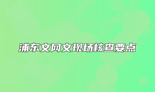 浦東文網(wǎng)文現(xiàn)場核查要點(diǎn)