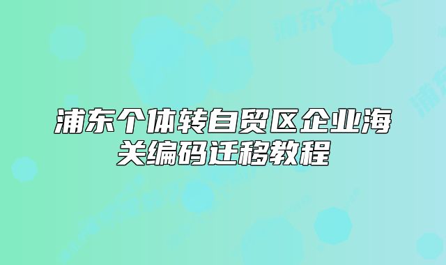 浦東個體轉(zhuǎn)自貿(mào)區(qū)企業(yè)海關(guān)編碼遷移教程