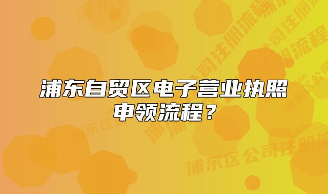 浦東自貿(mào)區(qū)電子營業(yè)執(zhí)照申領流程？