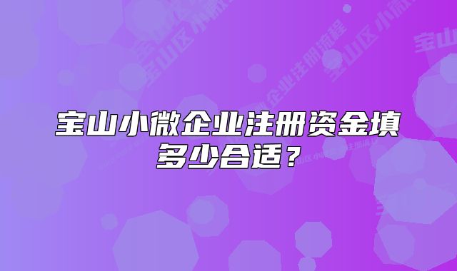 寶山小微企業(yè)注冊資金填多少合適？