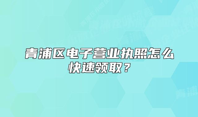 青浦區(qū)電子營(yíng)業(yè)執(zhí)照怎么快速領(lǐng)?。? class=