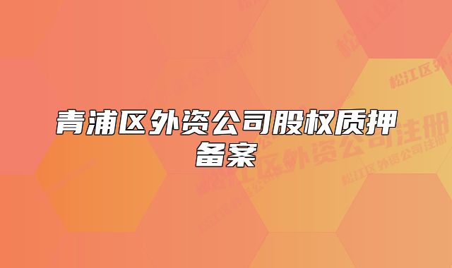 青浦區(qū)外資公司股權(quán)質(zhì)押備案