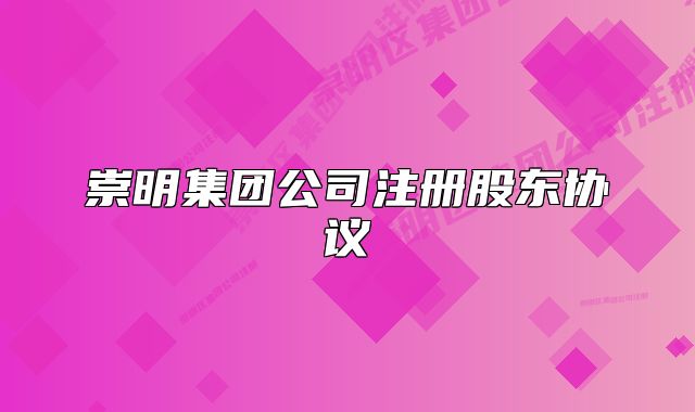 崇明集團(tuán)公司注冊股東協(xié)議
