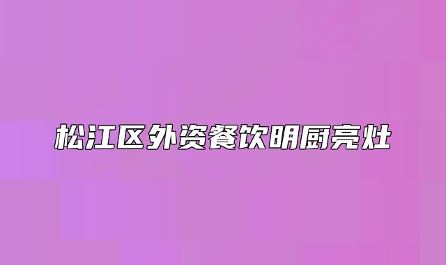 松江區(qū)外資餐飲明廚亮灶