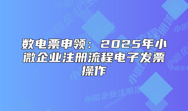 數(shù)電票申領(lǐng)：2025年小微企業(yè)注冊流程電子發(fā)票操作
