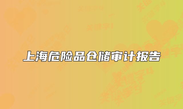 上海危險(xiǎn)品倉儲審計(jì)報(bào)告