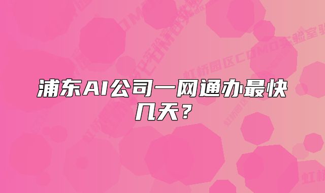 浦東AI公司一網(wǎng)通辦最快幾天？