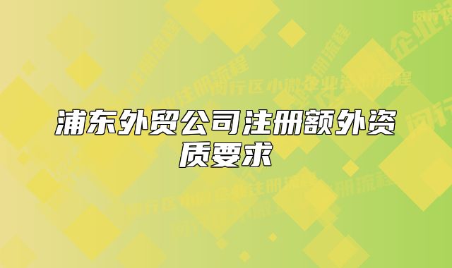 浦東外貿(mào)公司注冊額外資質(zhì)要求