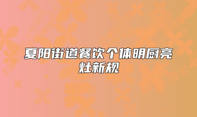 夏陽(yáng)街道餐飲個(gè)體明廚亮灶新規(guī)