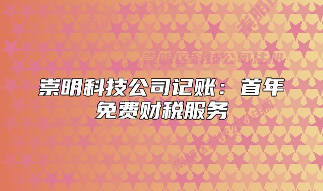 崇明科技公司記賬:首年免費(fèi)財(cái)稅服務(wù)