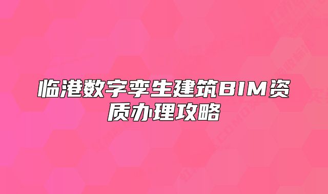臨港數(shù)字孿生建筑BIM資質(zhì)辦理攻略