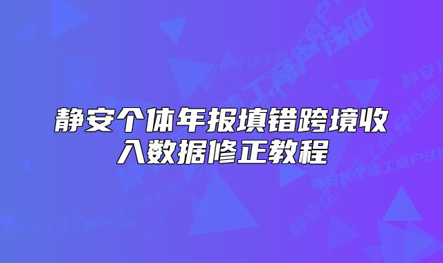 靜安個(gè)體年報(bào)填錯(cuò)跨境收入數(shù)據(jù)修正教程