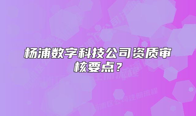 楊浦數(shù)字科技公司資質審核要點？