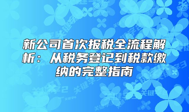 新公司首次報稅全流程解析：從稅務(wù)登記到稅款繳納的完整指南