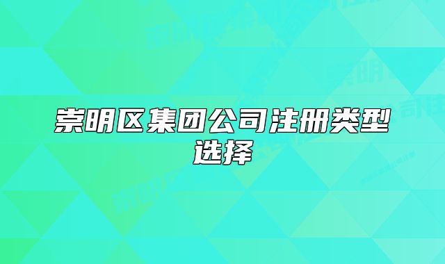 崇明區(qū)集團(tuán)公司注冊類型選擇