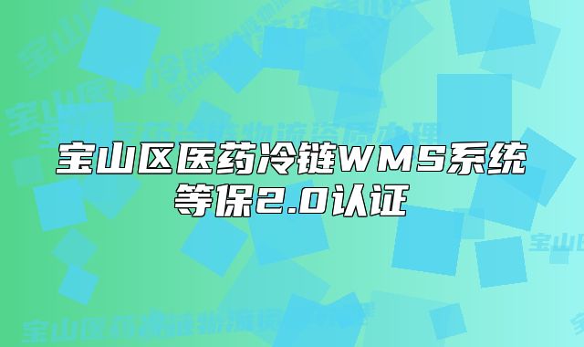 寶山區(qū)醫(yī)藥冷鏈WMS系統(tǒng)等保2.0認證