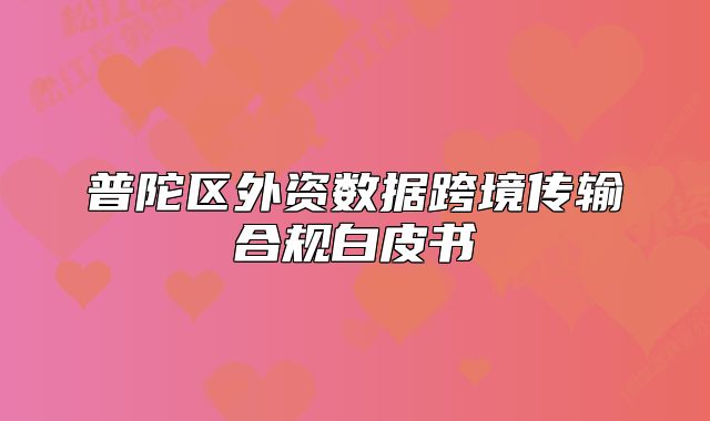 普陀區(qū)外資數(shù)據(jù)跨境傳輸合規(guī)白皮書(shū)
