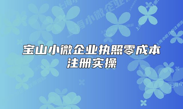 寶山小微企業(yè)執(zhí)照零成本注冊實(shí)操