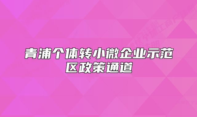 青浦個體轉(zhuǎn)小微企業(yè)示范區(qū)政策通道