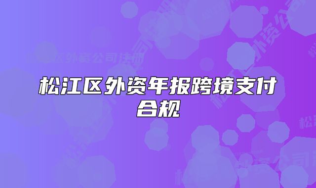 松江區(qū)外資年報跨境支付合規(guī)