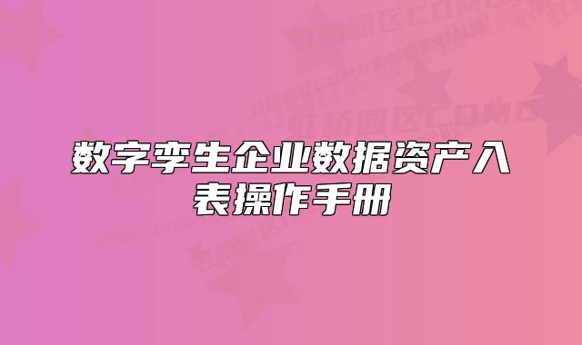 數(shù)字孿生企業(yè)數(shù)據(jù)資產(chǎn)入表操作手冊