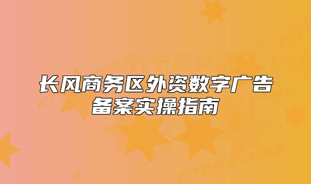 長風(fēng)商務(wù)區(qū)外資數(shù)字廣告?zhèn)浒笇?shí)操指南