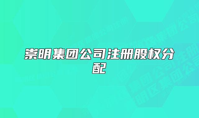 崇明集團公司注冊股權(quán)分配