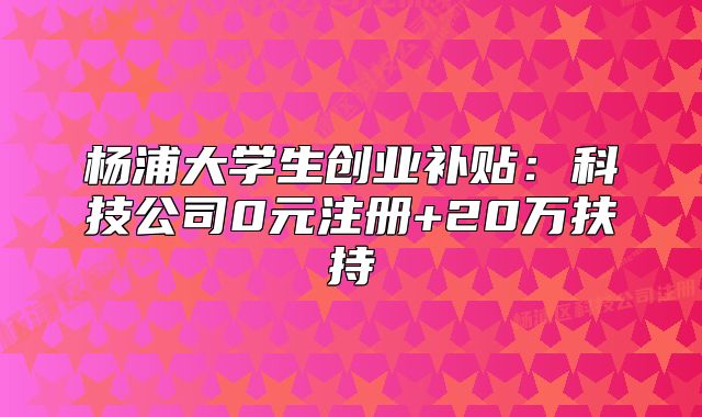 楊浦大學(xué)生創(chuàng)業(yè)補(bǔ)貼：科技公司0元注冊(cè)+20萬扶持