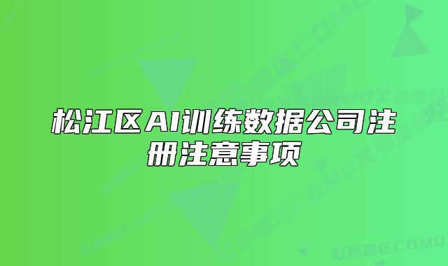 松江區(qū)AI訓(xùn)練數(shù)據(jù)公司注冊(cè)注意事項(xiàng)