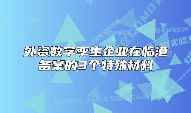 外資數字孿生企業(yè)在臨港備案的3個特殊材料